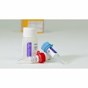 Chất thử Autophagy Detection Assay - Promega (Mỹ)