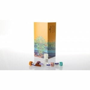 Chất thử Miễn dịch tế bào (Inflammation Assays) - Promega (Mỹ)